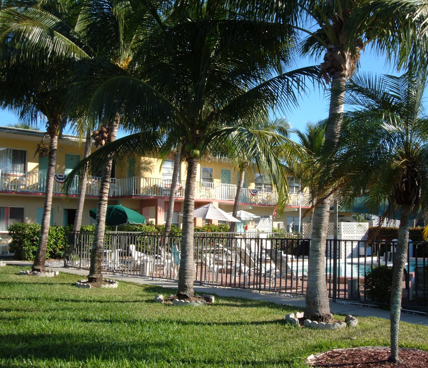 Hideaway Hotel - palm trees, fenced pool area, hotel and sky above